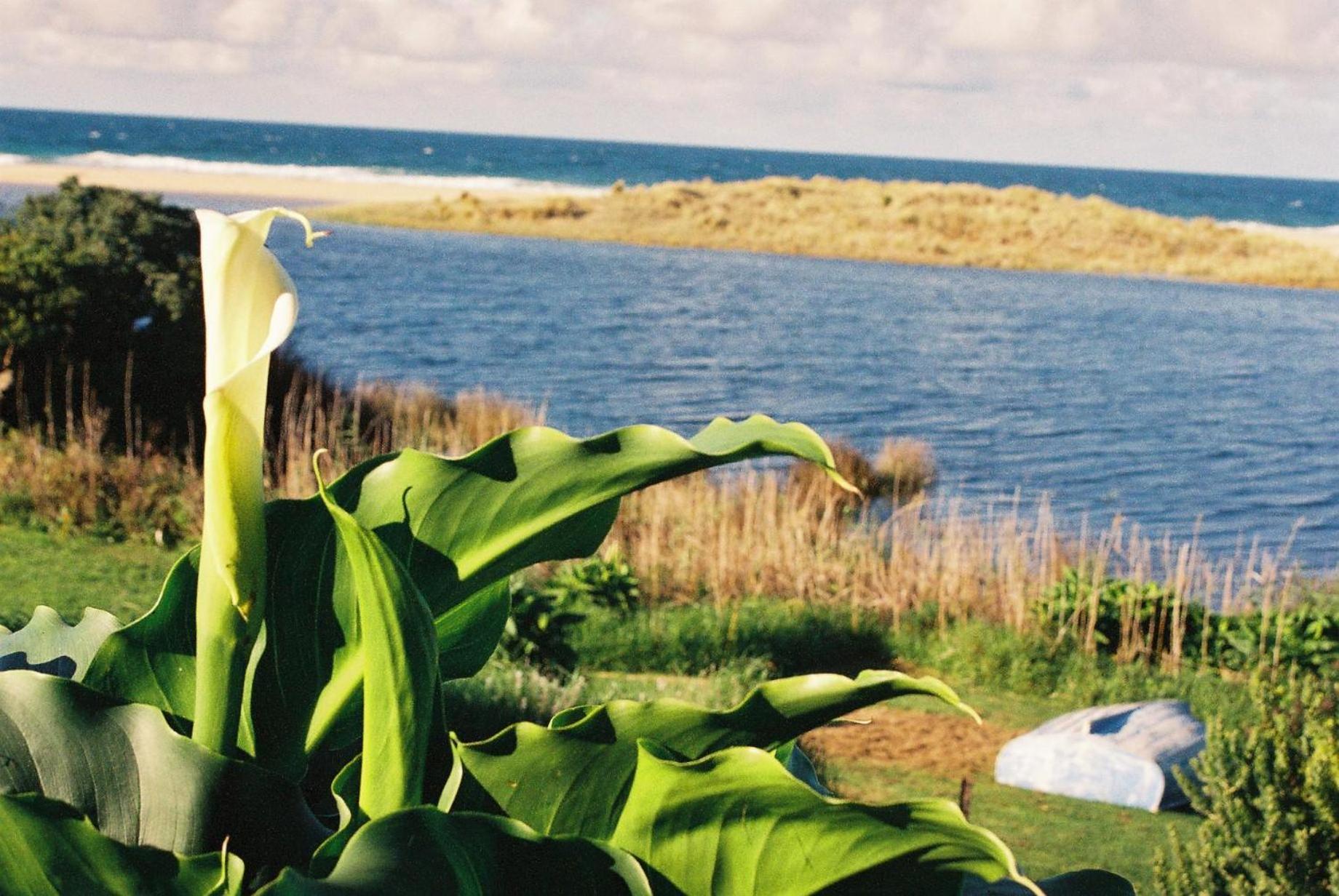 Apollo Bay Guest House ภายนอก รูปภาพ